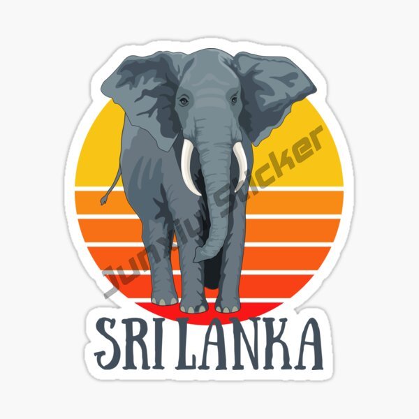 ملصق سيارة الموضة سري لانكا ال - مراجعة Laptop Accessories Sri Lanka وسعره